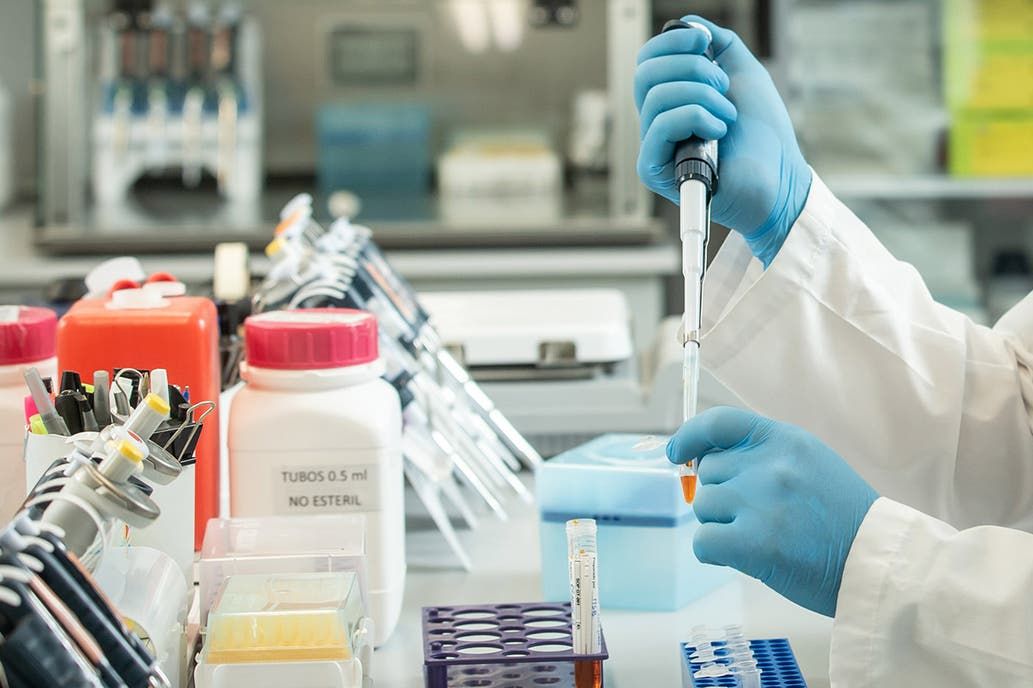 Coronavirus: comienza la distribución el suero equino, que reduce un 45% las muertes