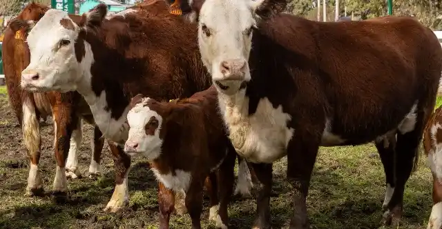 Se viene una nueva jornada a campo en Gualeguay