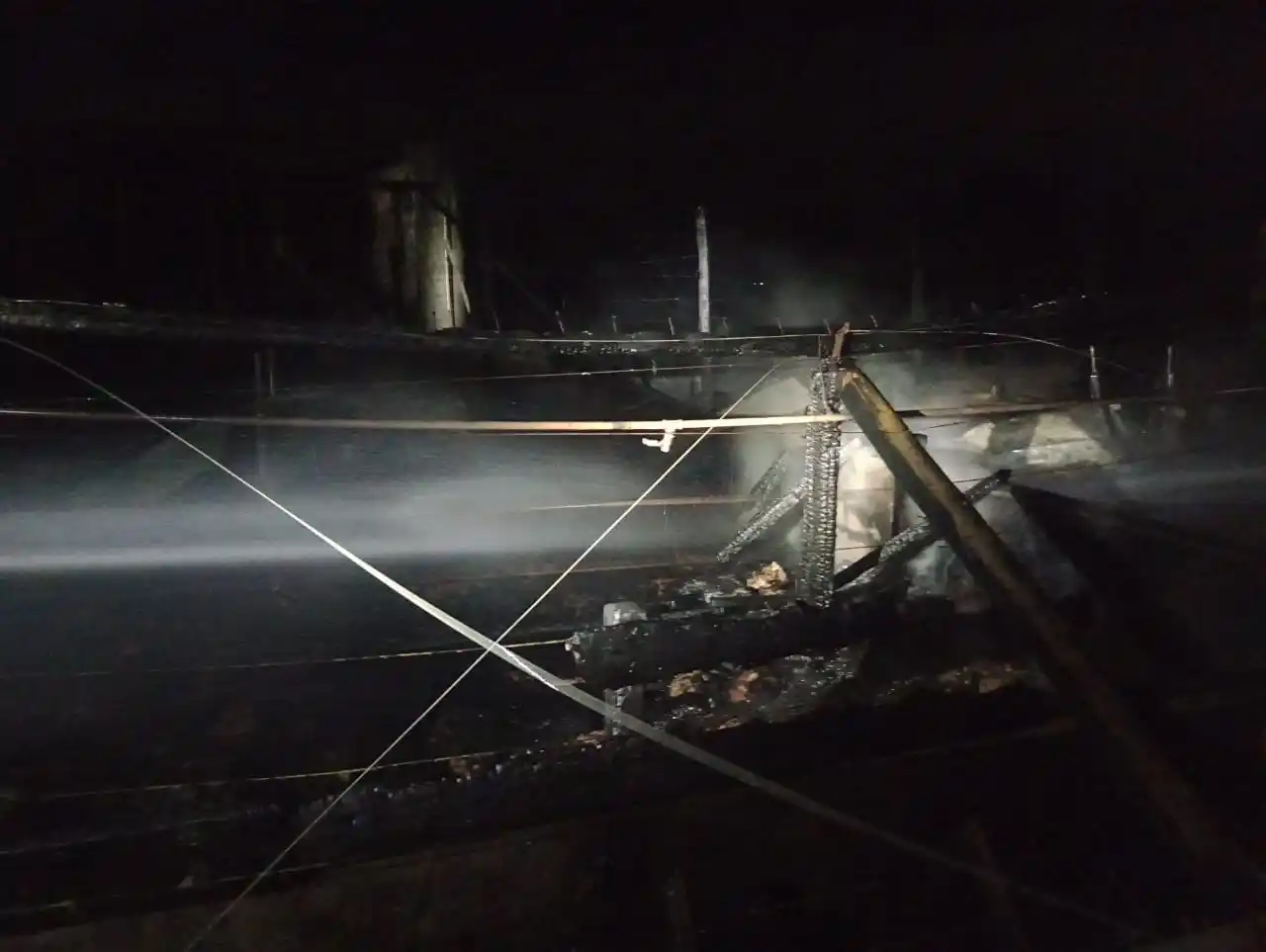 incendio cerdos - 2