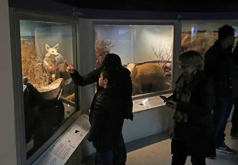 Mar del Plata: los museos imperdibles para visitar en tu estadía
