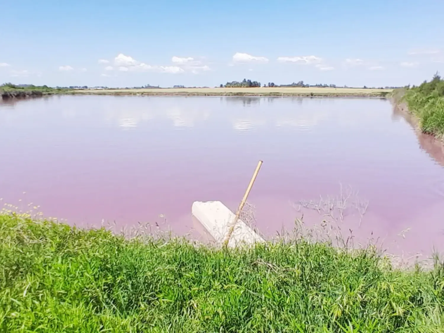 El gobierno provincial analiza el fenómeno de coloración en el arroyo Espinillo y refuerza la vigilancia ambiental en la cuenca