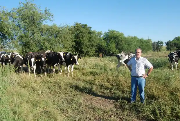 La lechería está en crisis y el horizonte se presenta complicado