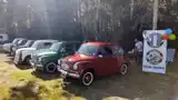 La exposición especial de autos Fiat 600 celebrará su séptima edición.