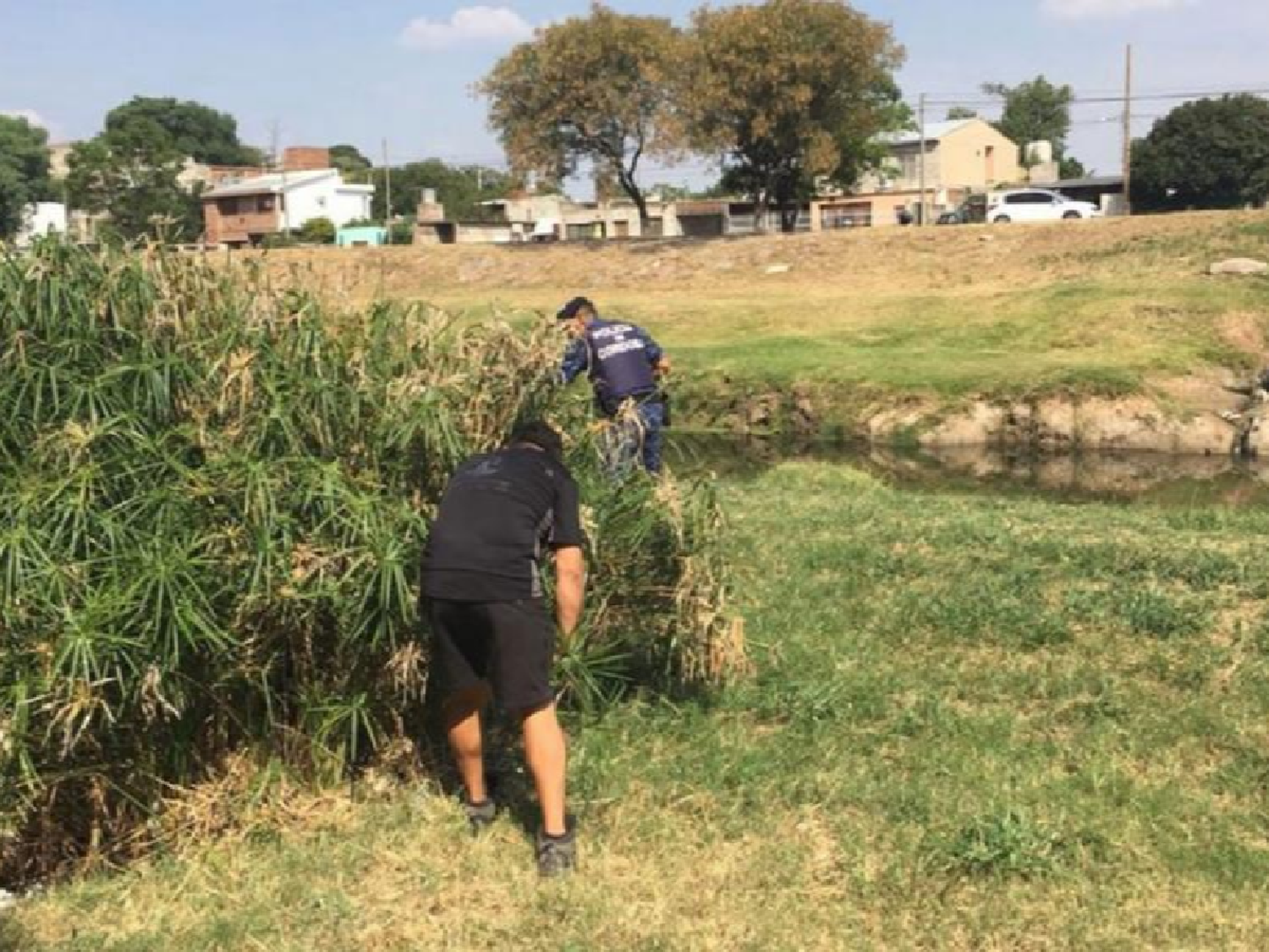 Capturan a un puma adulto en una vivienda de la ciudad de Córdoba