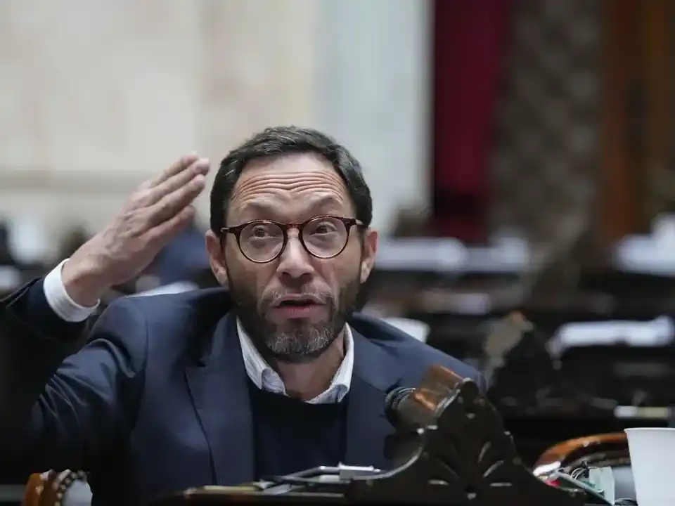 Maximiliano Ferraro, uno de los diputados que pidió ampliar las audiencias.