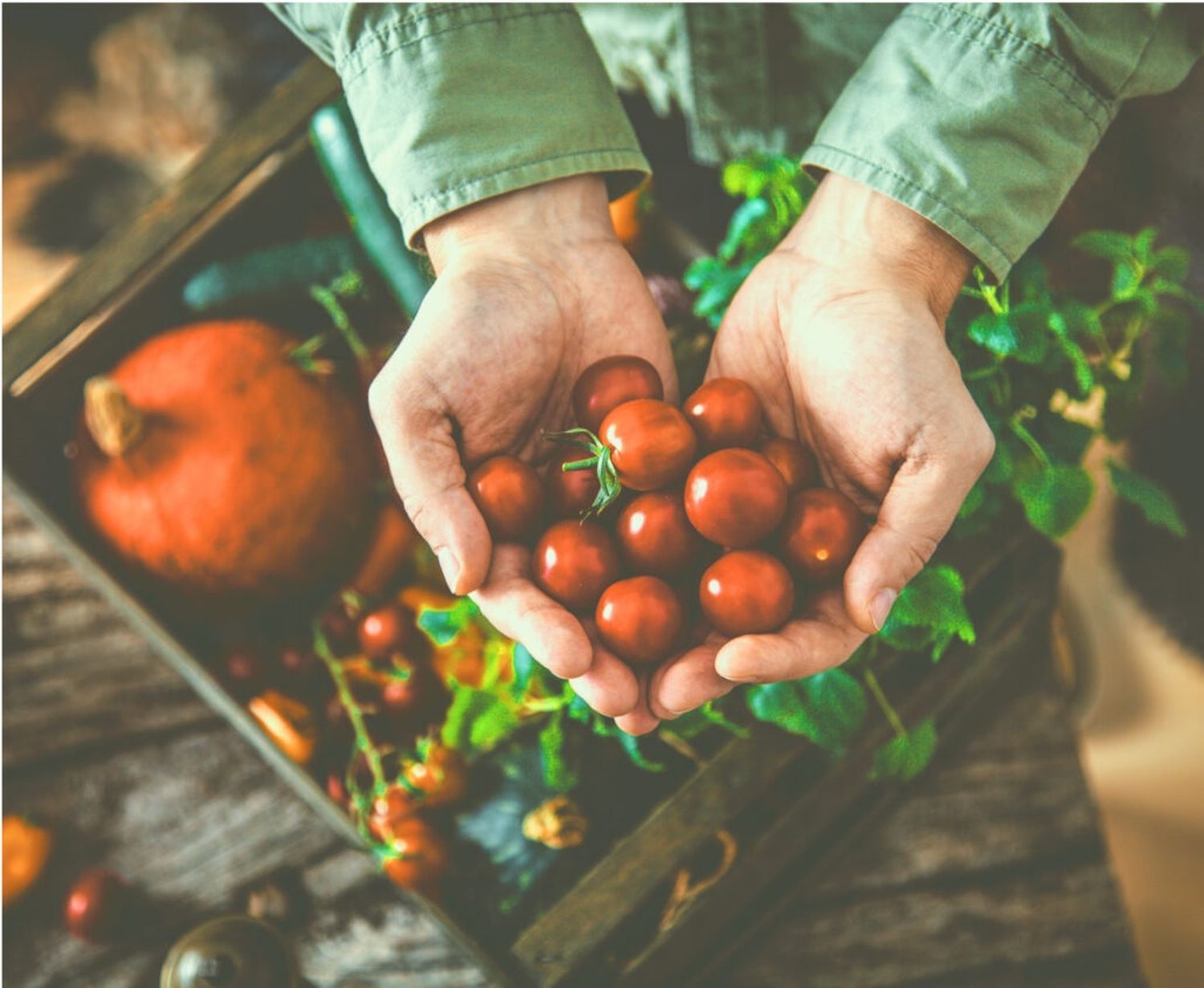 Informe de Coninagro: Un semáforo en rojo para la mayoría de las economías regionales