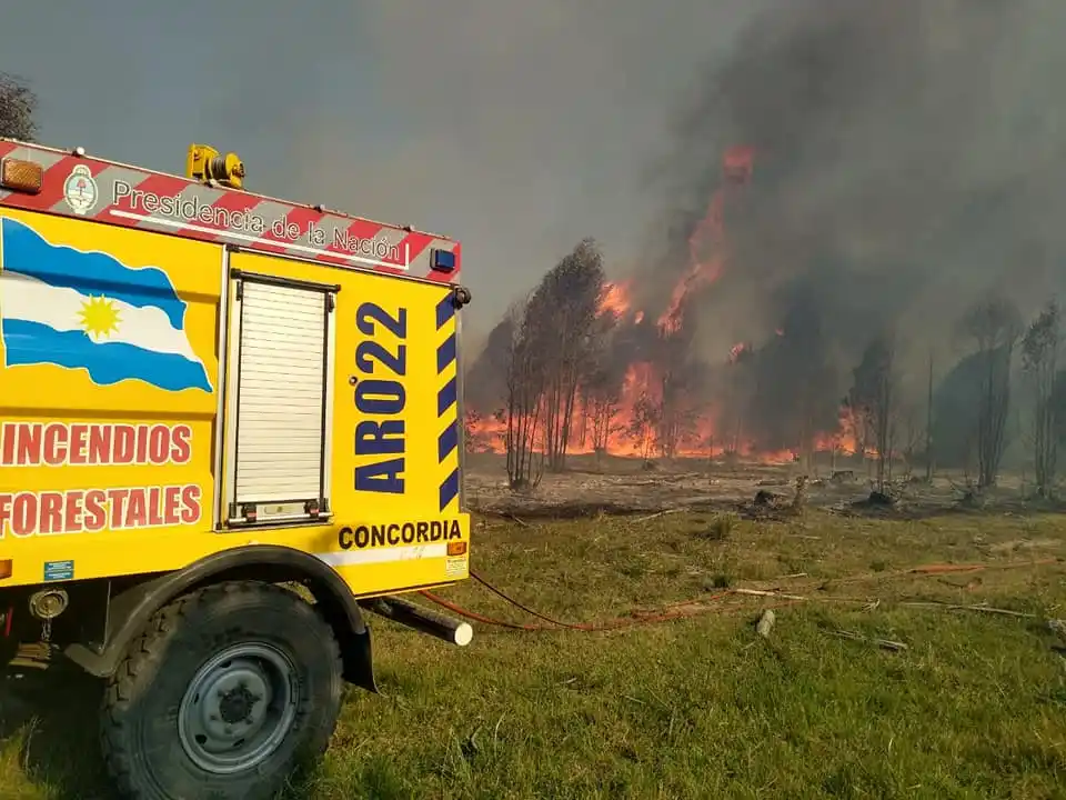 Bomberos Voluntarios trabajó en un incendio forestal en la zona de Estación Yeruá
