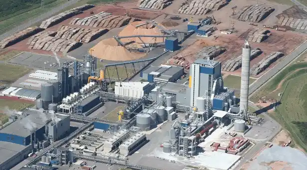 Guastavino sobre UPM: “Tenemos derecho a conocer el impacto de la nueva planta”