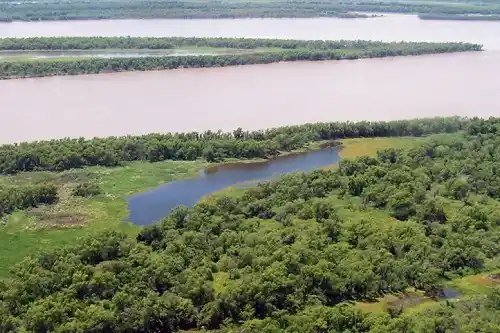El Senado retoma el análisis del proyecto de explotación de humedales