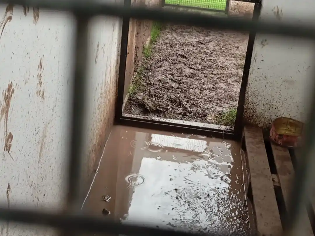 Predio Bienestar animal - 1