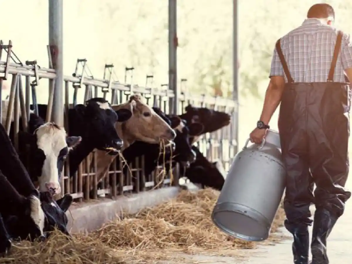 Leche con rentabilidad positiva pero lejos del nivel esperado      