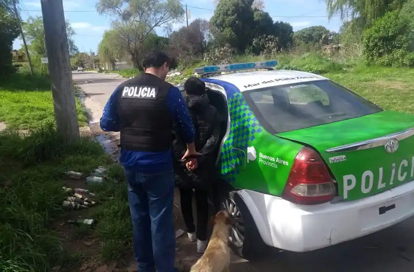 Una mujer fue aprehendida en su casa por haber robado un teléfono