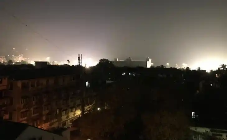 La luz artificial influye en la actividad de las especies, asegura el nuevo estudio.