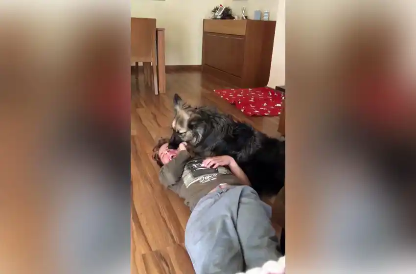 Conmovedor video entre un nene con autismo y una perra