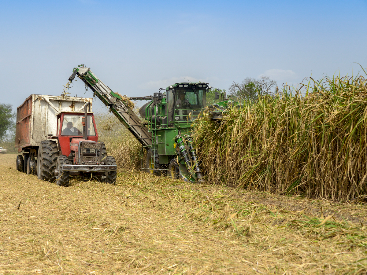 Afirman que la rentabilidad de agricultores está entre "las más altas de la historia"  