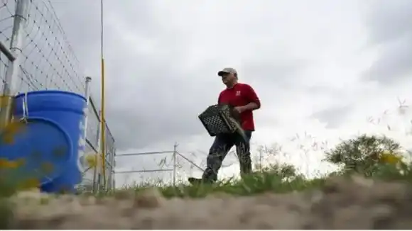 Ola de calor cobró la vida de dos migrantes en la frontera México – EE.UU.: activistas INSTALAN ESTACIONES DE AGUA