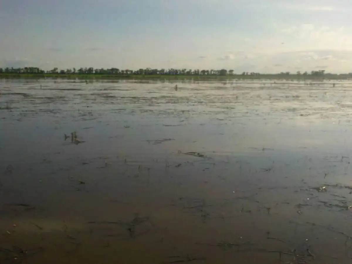 Marini: Un pueblo a punto de "desaparecer" por las inundaciones