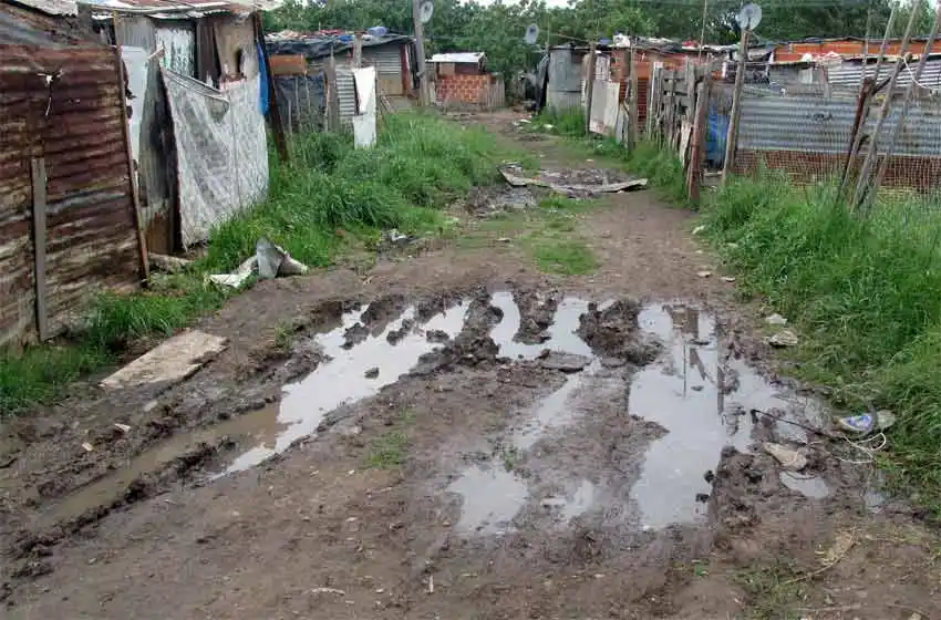 Riesgo sanitario en Barrio Toba: crecen las denuncias por mortandad de perros