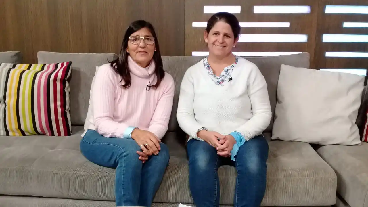Más Vida Tandil presentó en el Congreso un proyecto para evitar el aborto