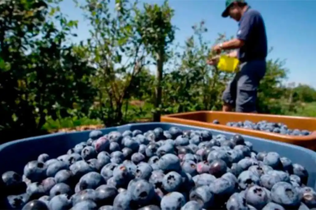 Concordia: procesaron a tres empresarios por explotación contra 200 personas