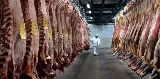 La carne vacuna en proceso de recuperación