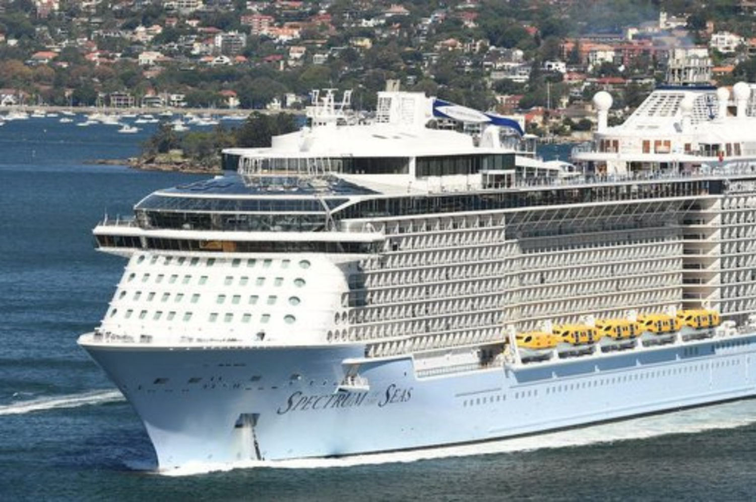 Así es el "Spectrum of the Seas", el crucero desde el que habría caído la mujer.