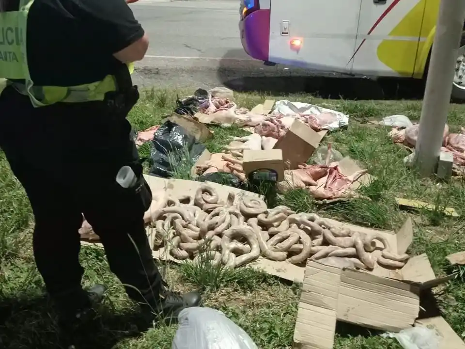 Secuestraron más de 20 animales faenados en un colectivo durante un control policial sobre RN34