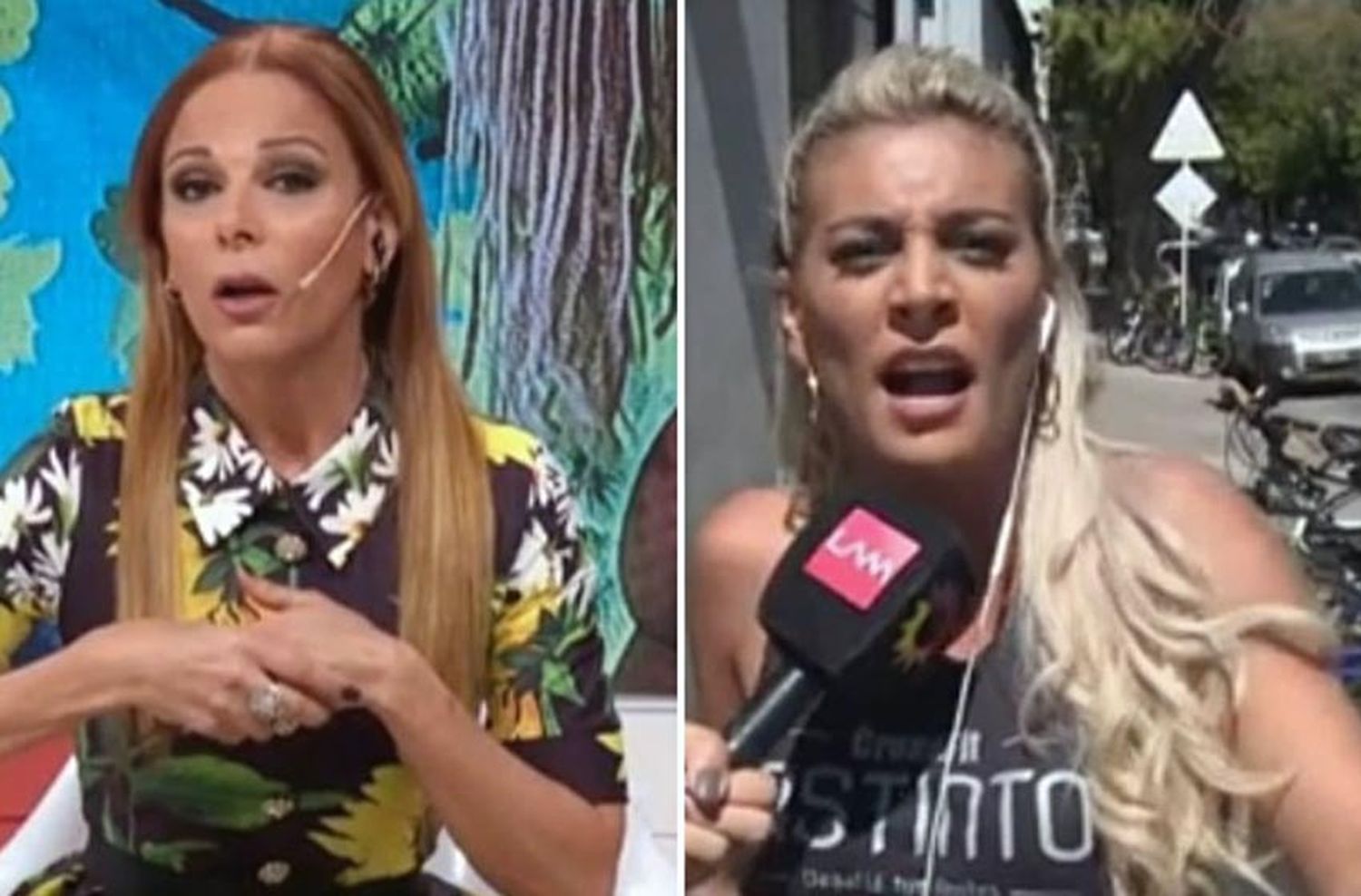 Fuerte discusión entre Sol Pérez e Iliana Calabró