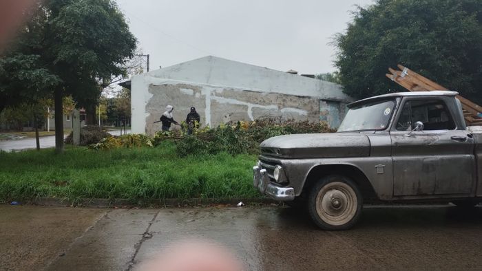 Marcos Madariaga poda