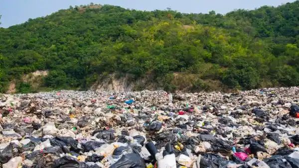 Por una América Latina más Verde: "La campaña busca promover el compromiso con el ambiente"