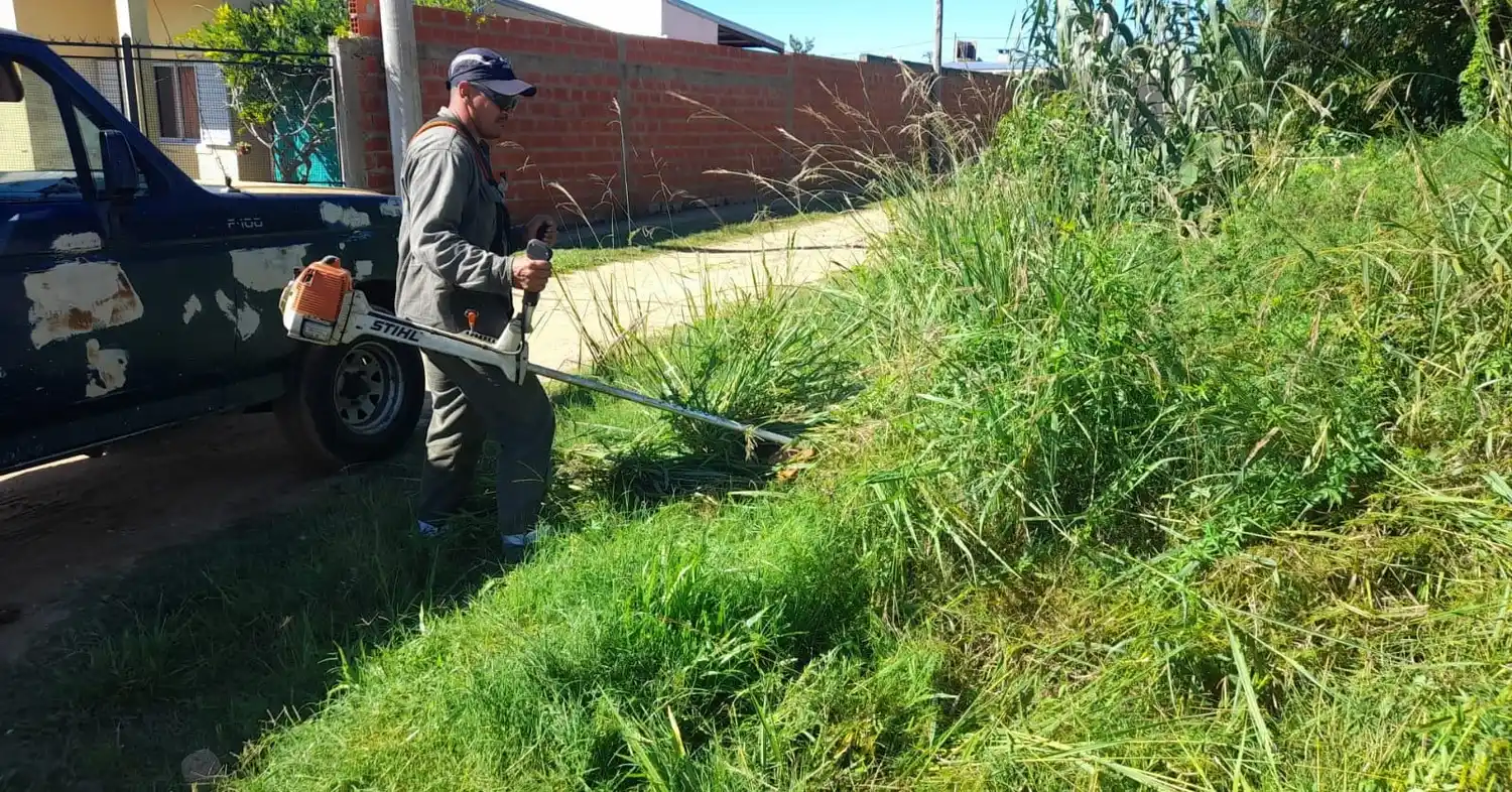 La desocupación disminuyó en Paraná pero aumentó en Concordia