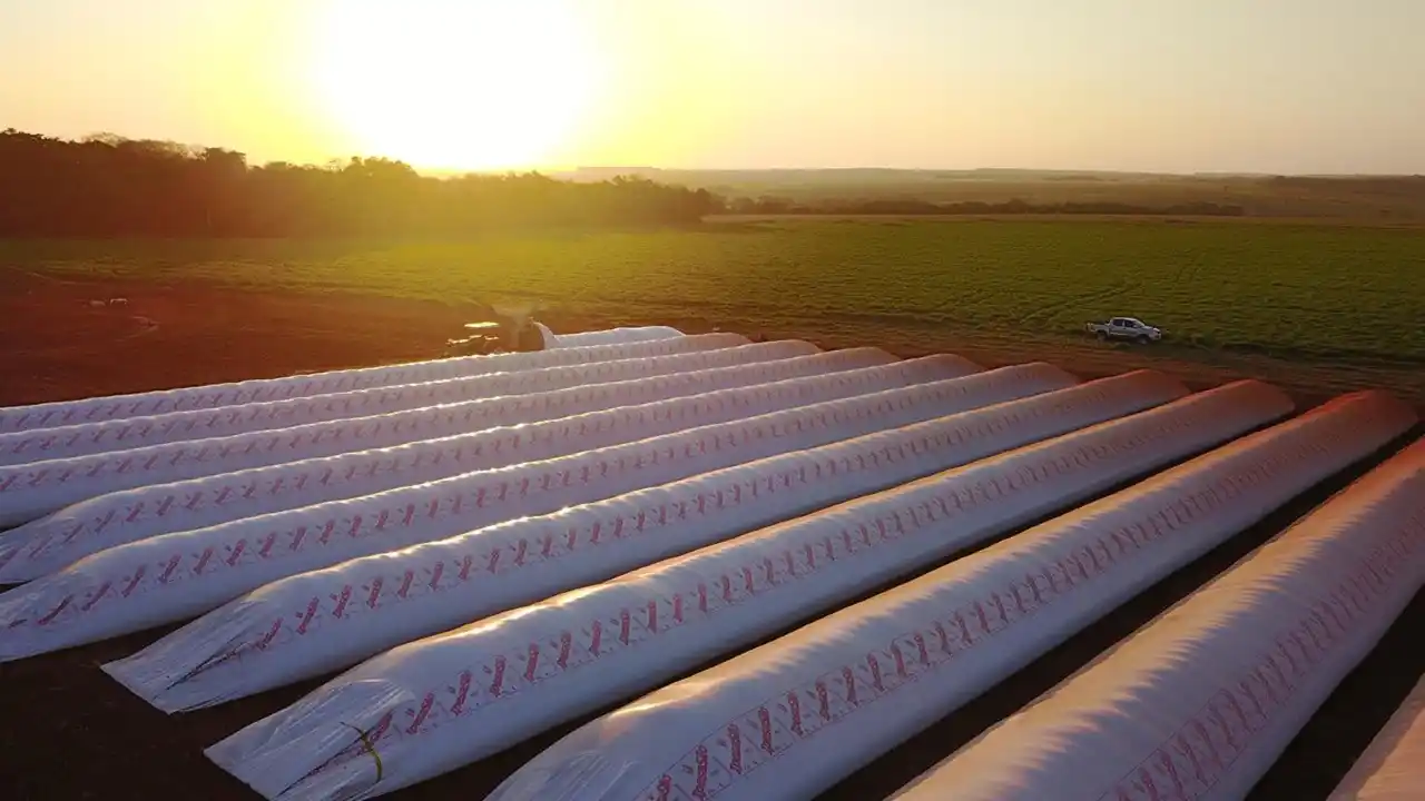 Lezama: La AFIP incautó casi 3.000 toneladas de granos de maíz, equivalentes a $94 millones, sin declarar