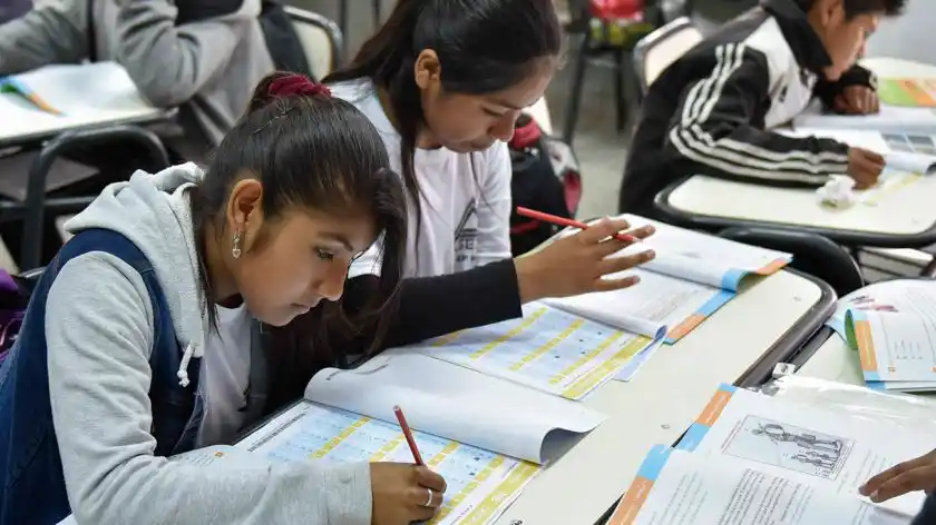 Implementarán un Día de la Dislexia para abordar el tema en las escuelas de la Provincia