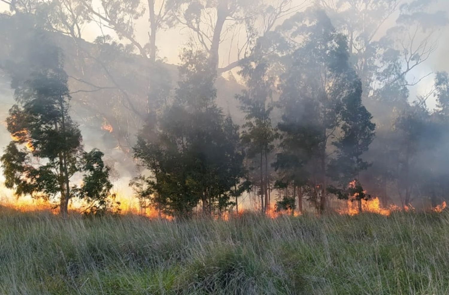 Tras un día entero de trabajo, lograron extinguir el fuego en Sierra de los Padres