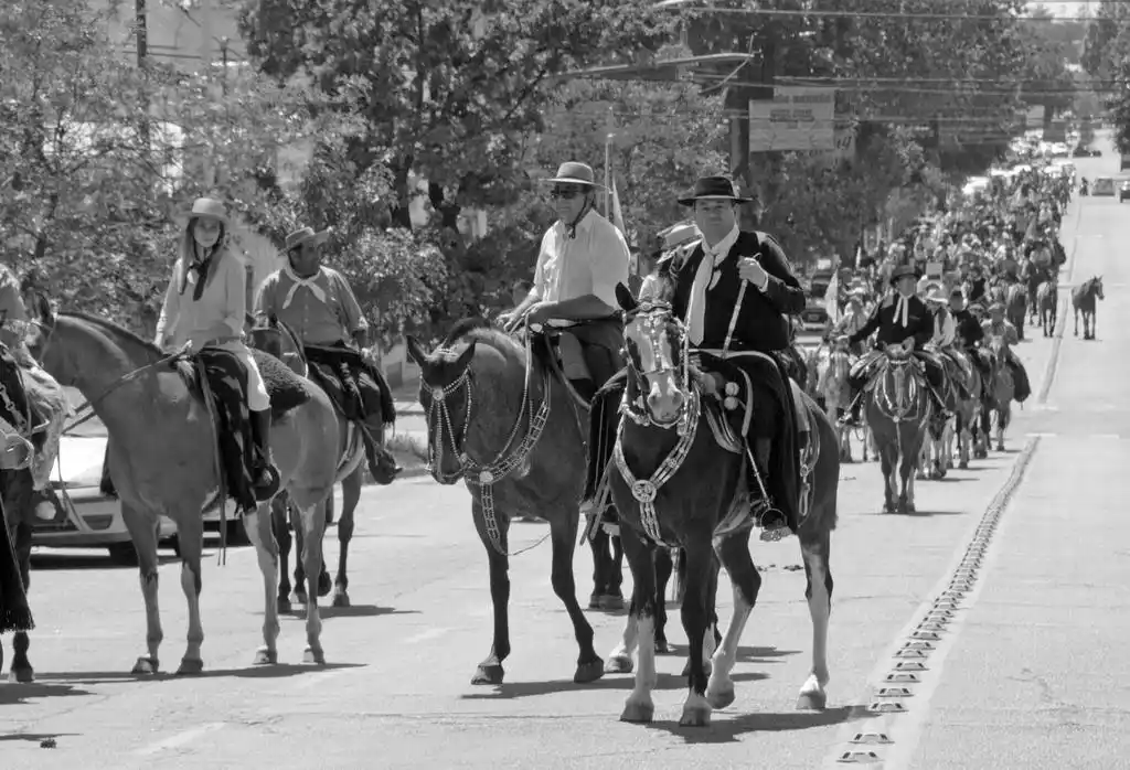 "Los pobres caballos no han venido a este mundo para sufrir de esta manera", polémica en las redes tras el desfile
