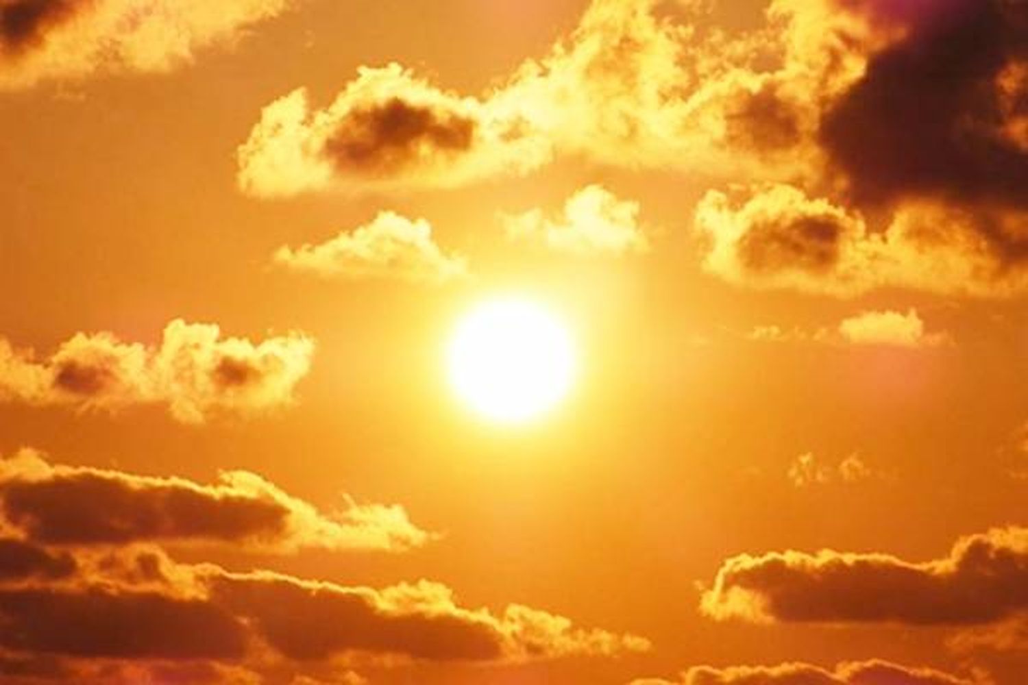 Pasear al sol