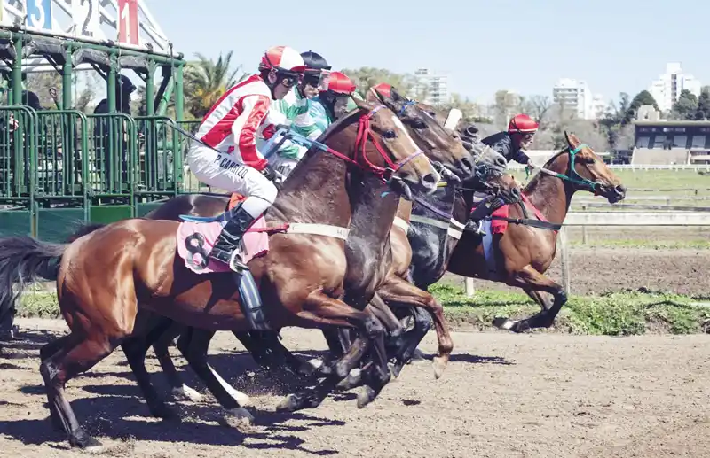 Domingo 2: Actividad Hipódromo de La Plata