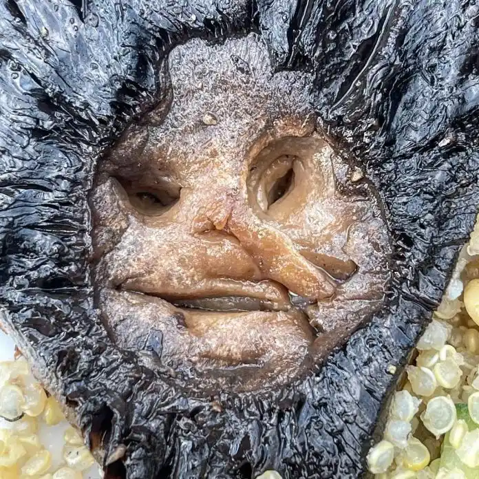 Arte en la comida