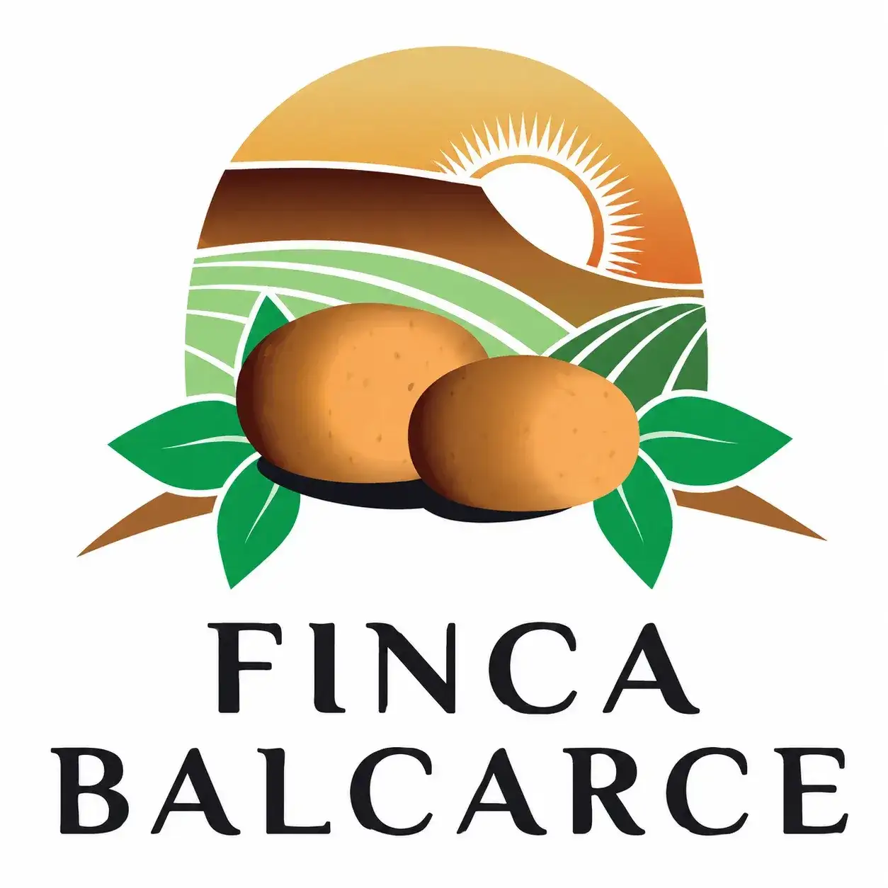Cerró una histórica fábrica de papas en Balcarce tras casi una década de actividad