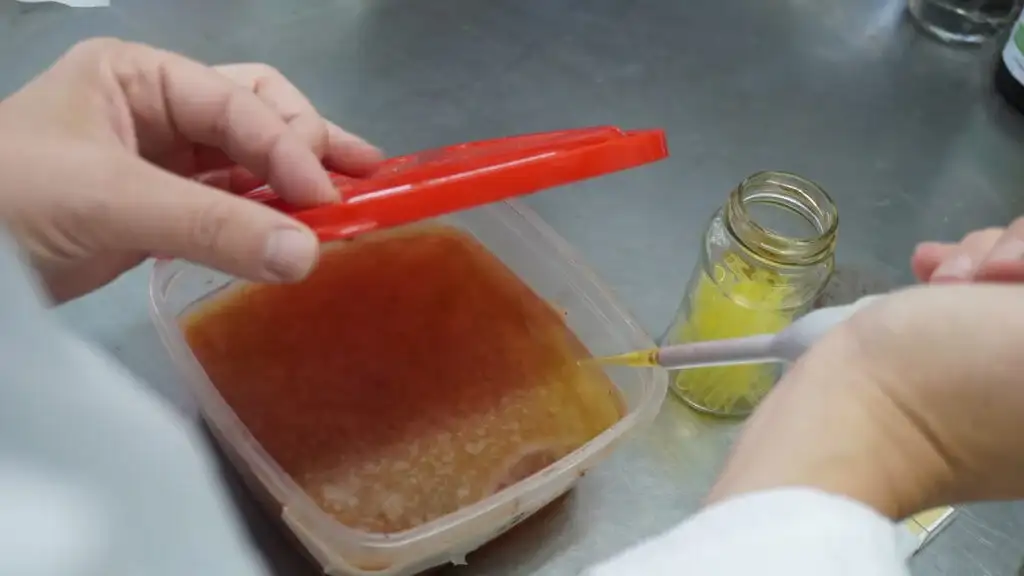 investigación bioplásticos Mar del Plata - 2
