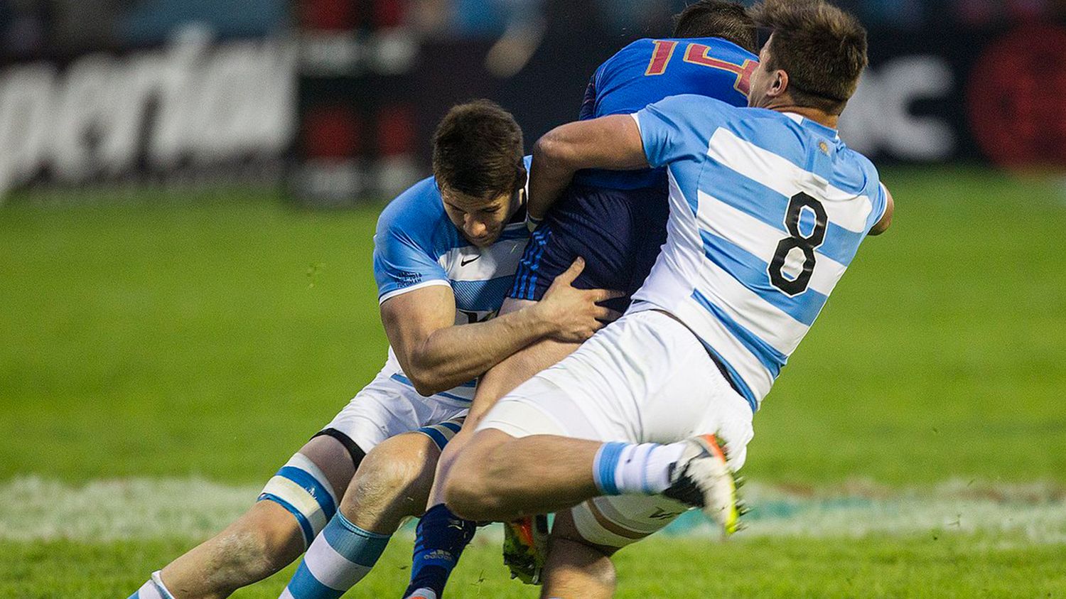 Los Pumas consiguieron su primera victoria en el año y fue ante Francia