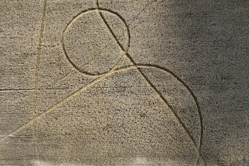 Aparecieron extrañas y sobrenaturales marcas en un campo de la región y causó enorme temor: "No estamos solos..." - 1