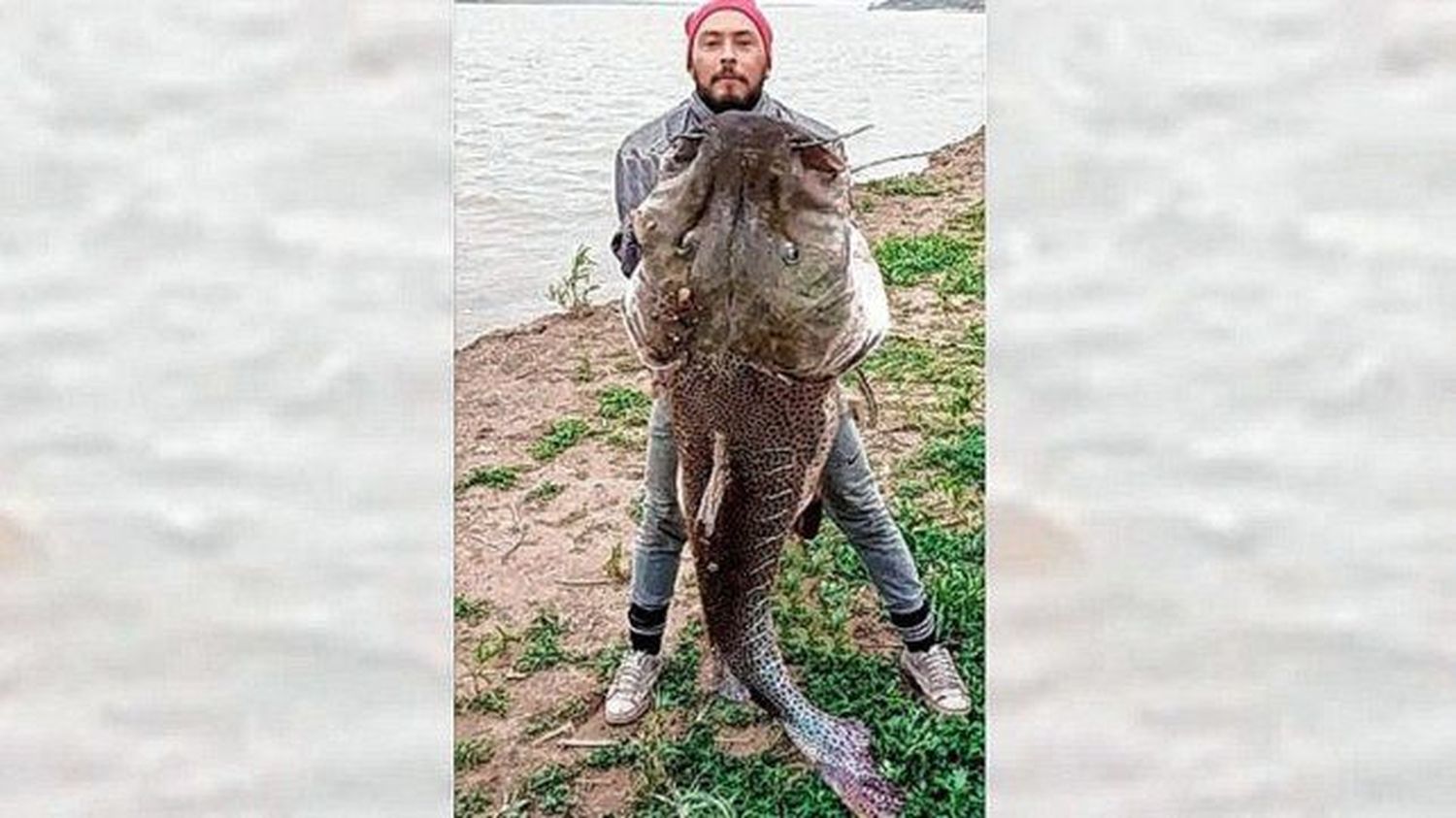 Pescó un surubí de 40 kilos en el río Paraná y contó cómo lo hizo