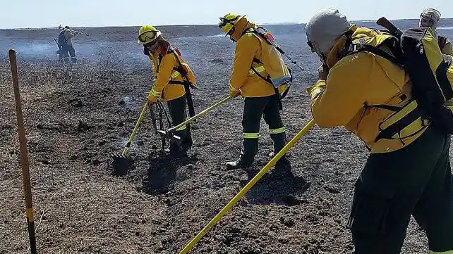 Incendios: intensifican monitoreos en las islas del Delta