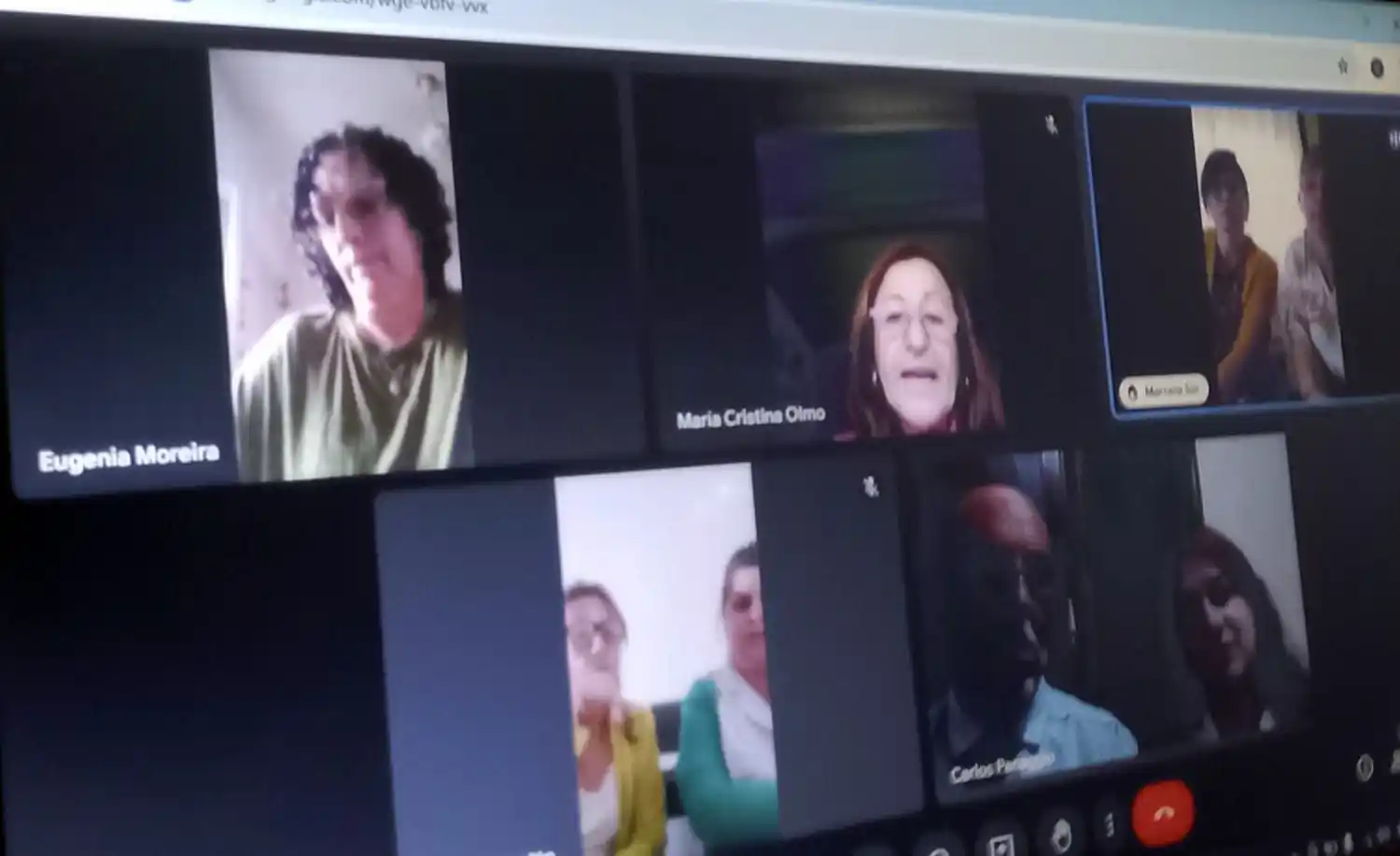 Online. Se realizó la reunión de los distintos referentes