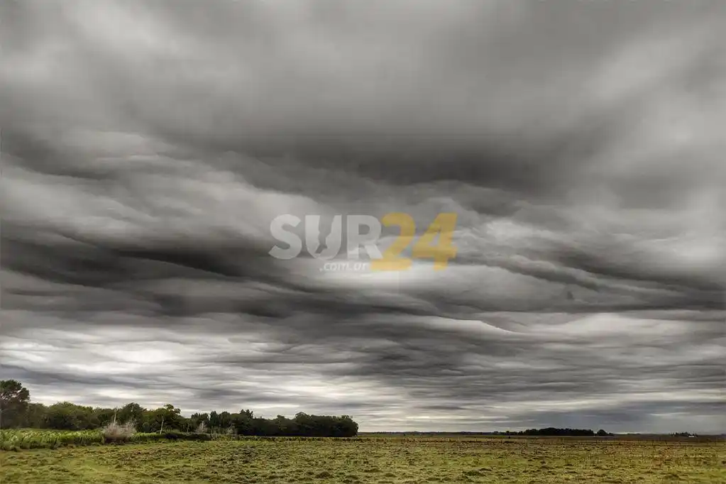 Lunes con nubes por la mañana y soleado por la tarde en Venado Tuerto y la región 
