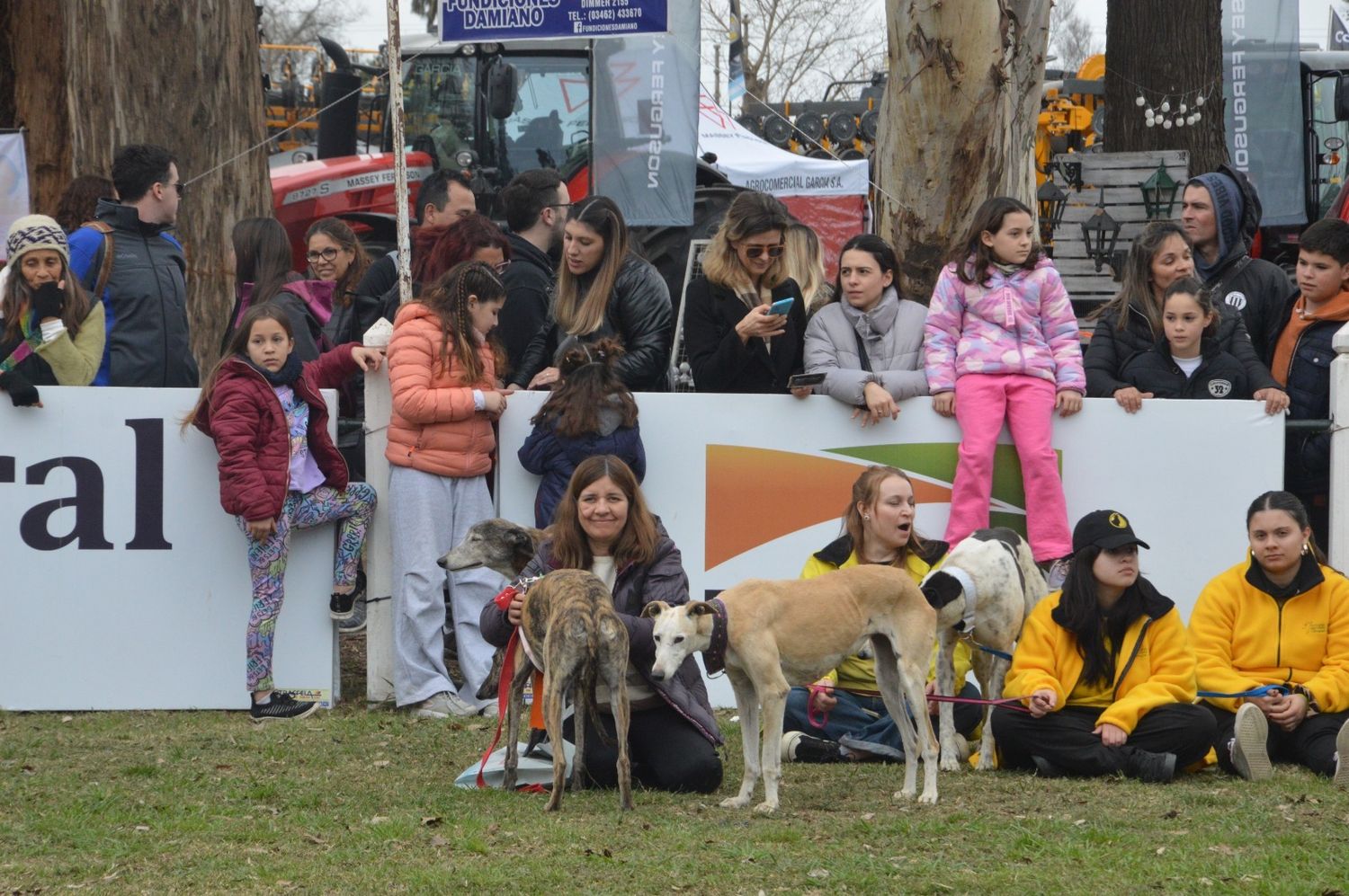 Paseo canino - 4