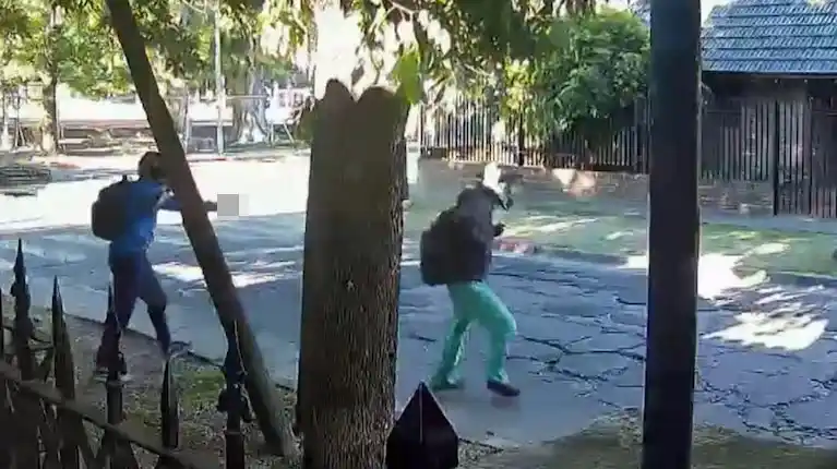 Asalto al médico de Castelar