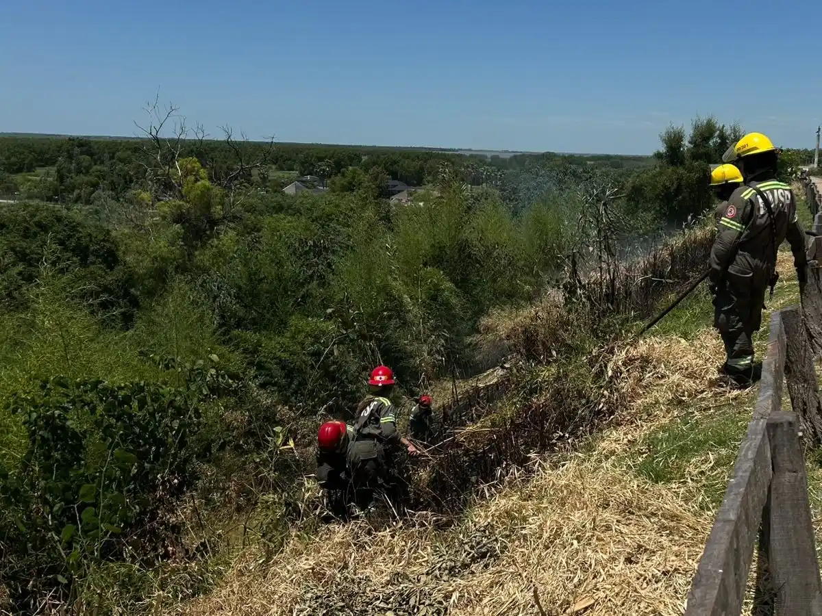 Los voluntarios llevan más de 20 intervenciones por incendios forestales.