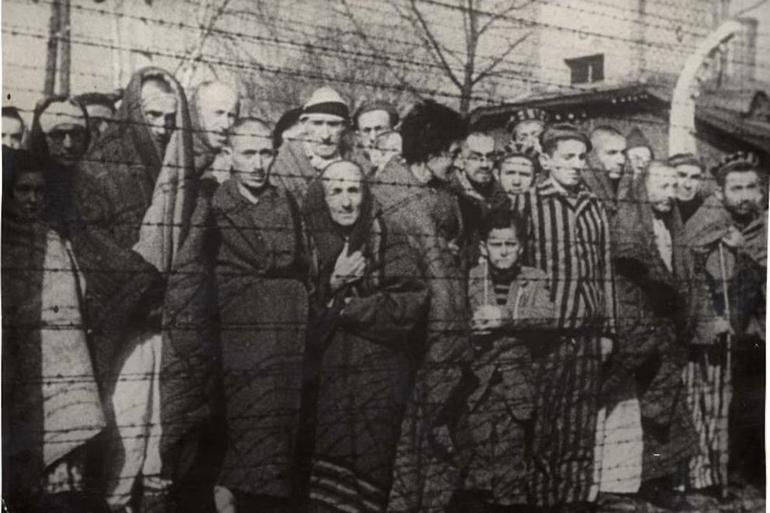 El antisemitismo como herida de Occidente